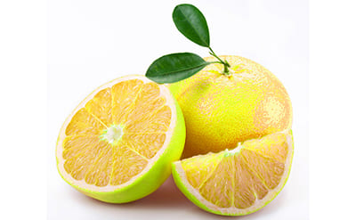 Grapefruit Fleuressence